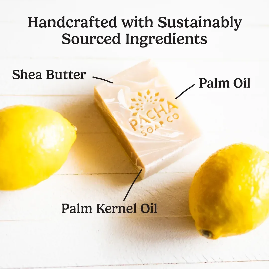 Earthy Clean Bar Soap Bundle