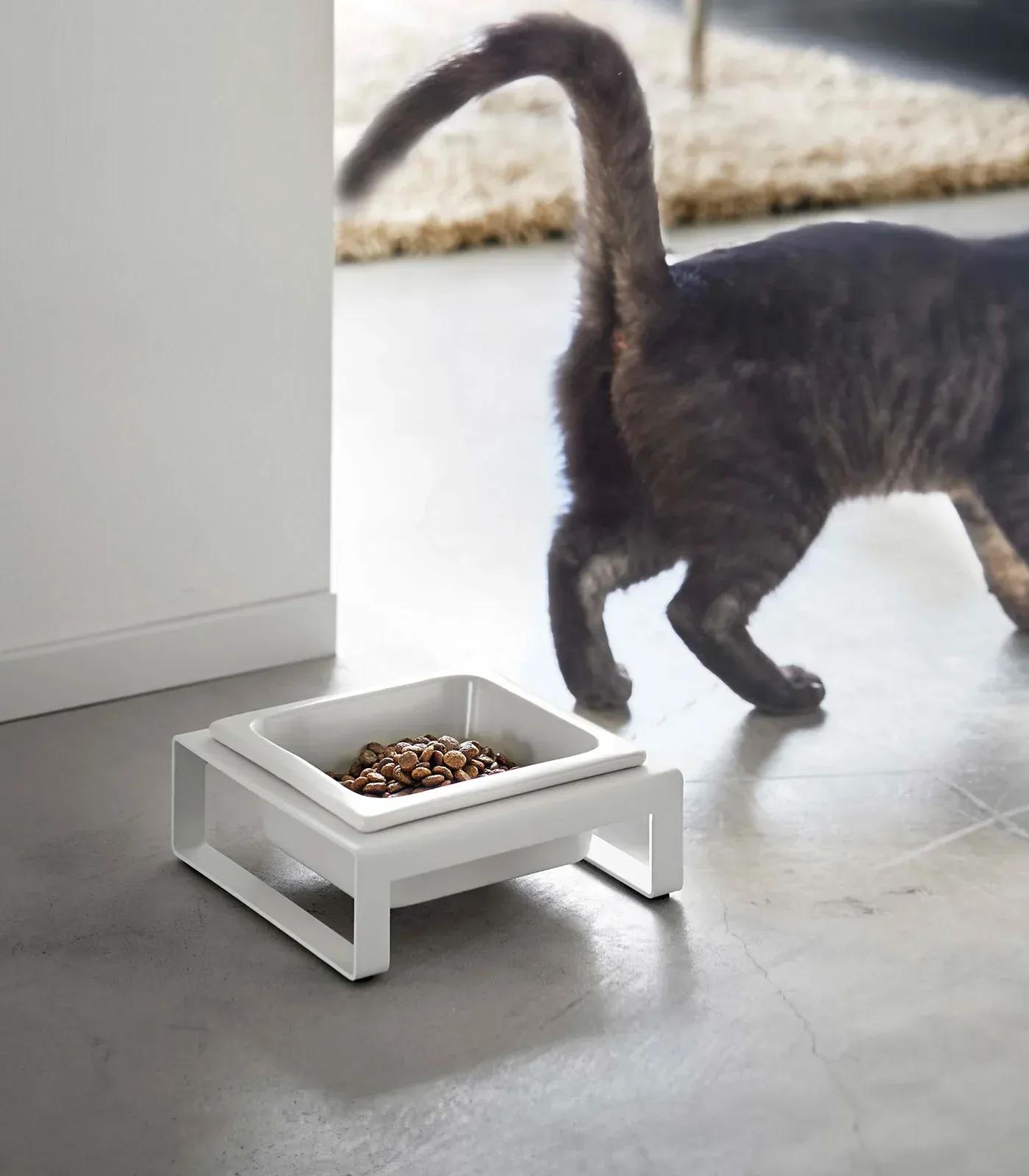 Single Pet Food Bowl – Steel + Ceramic