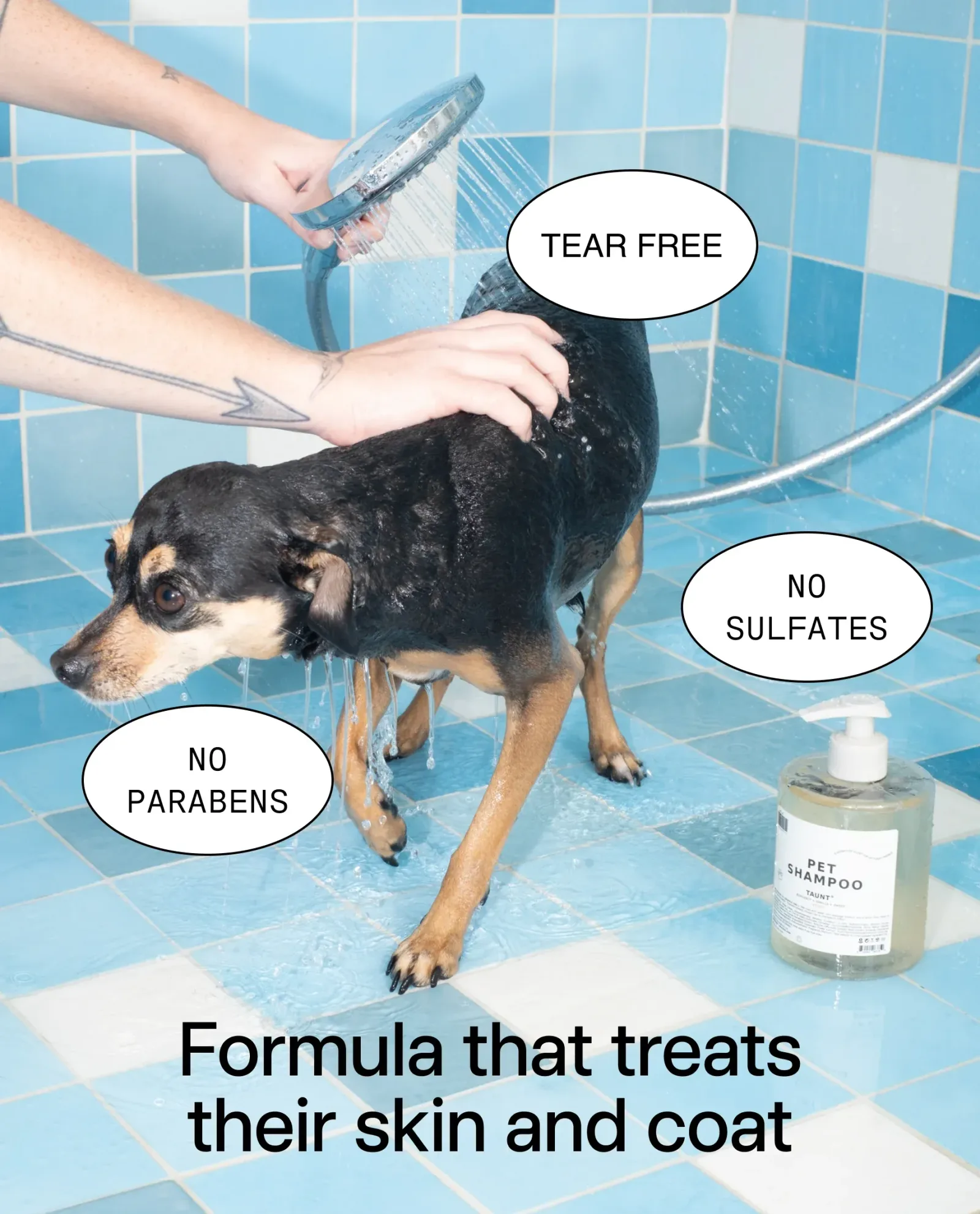 Mini Pet Shampoo 01 "Taunt"
