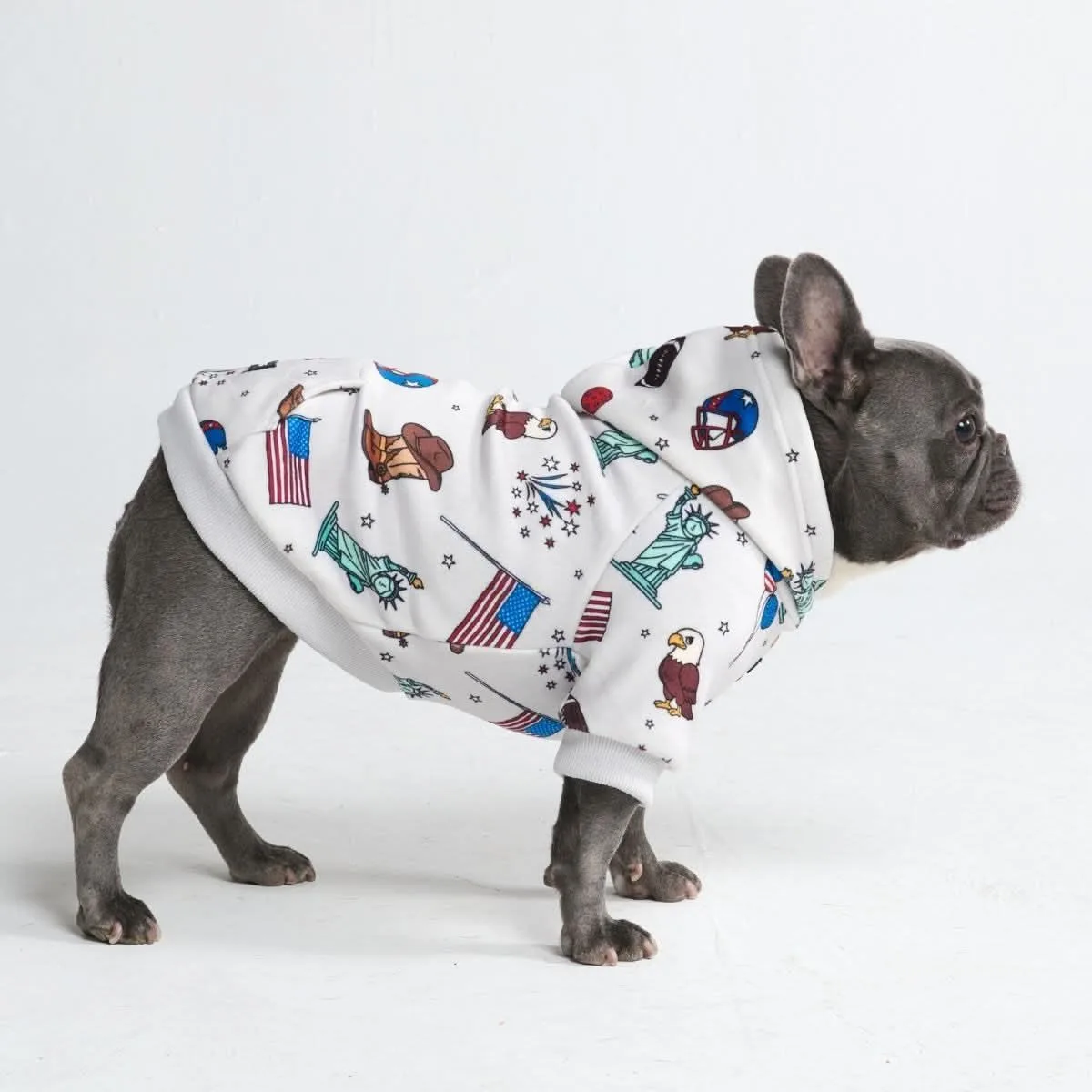 Around the World Dog Hoodies