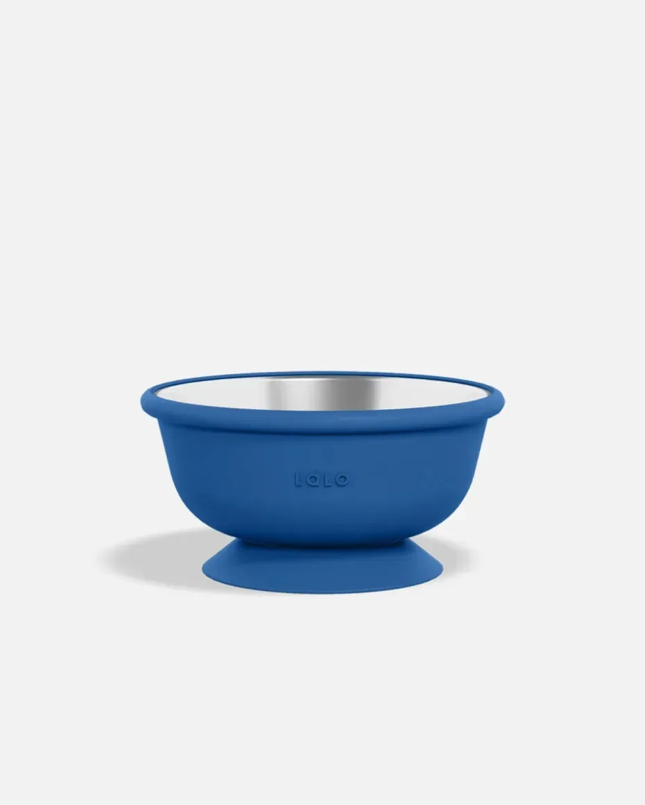 Stainless Suction Bowl