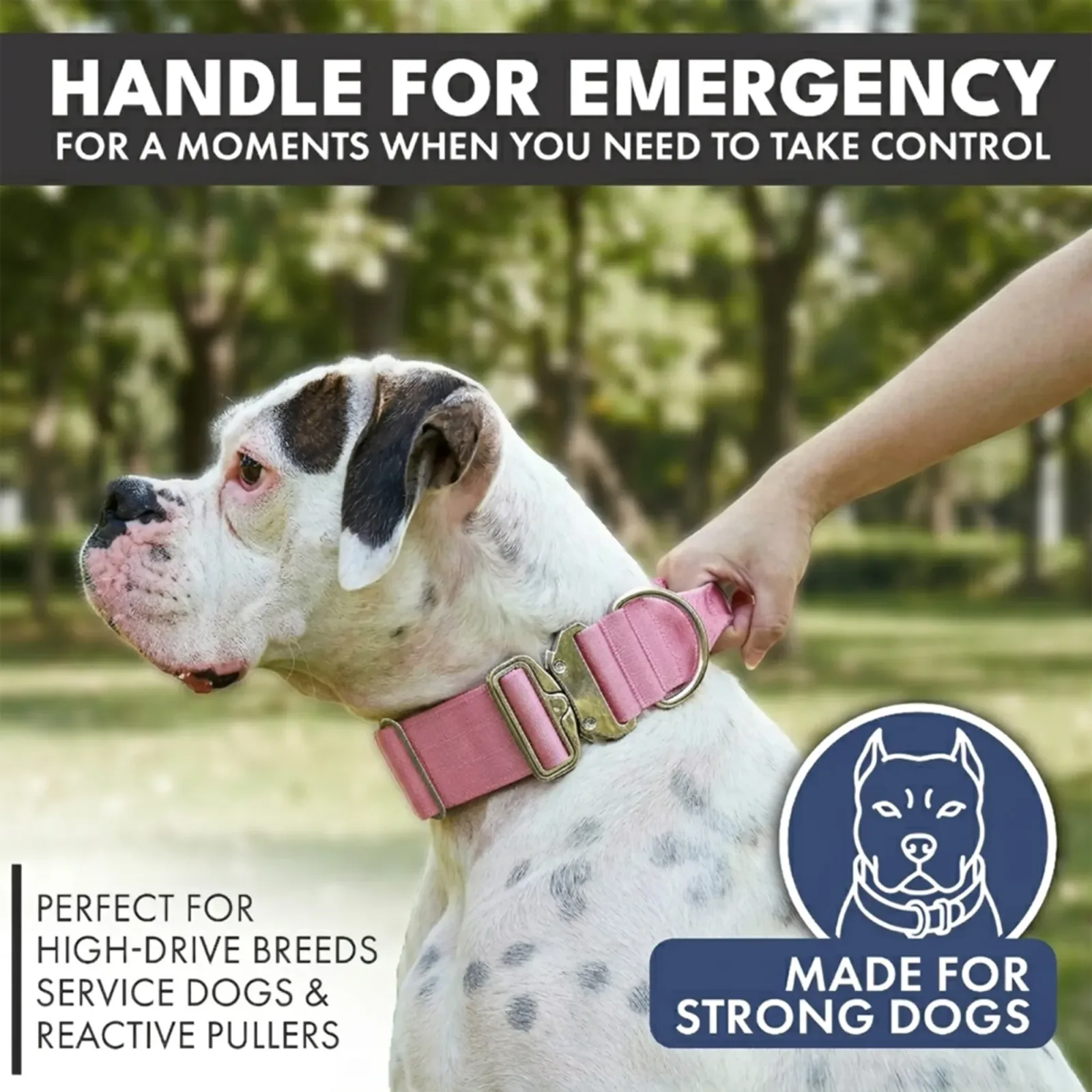 Comfort Control Collar and Multipurpose Leash Set – Pink