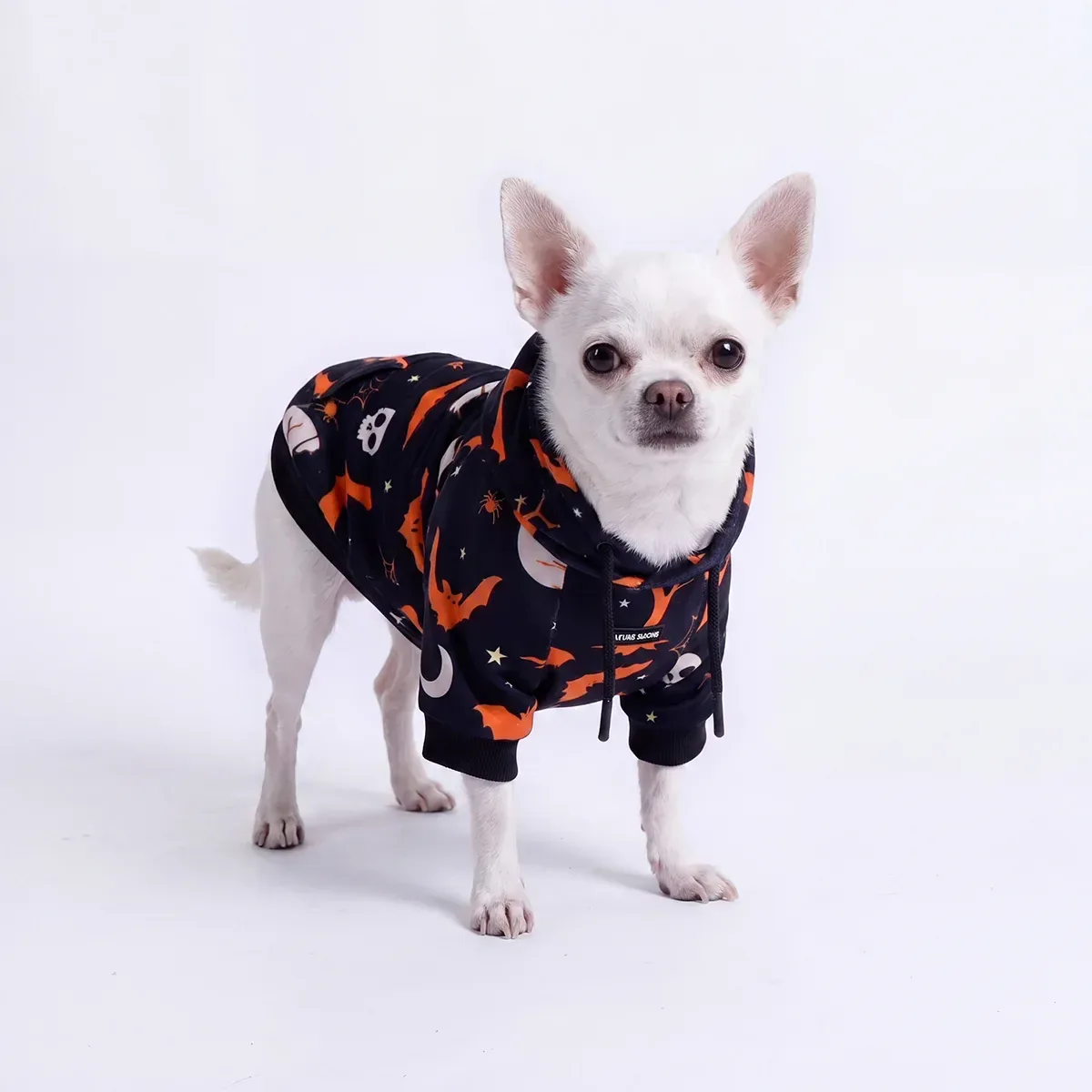 Halloween Dog Hoodie – Black