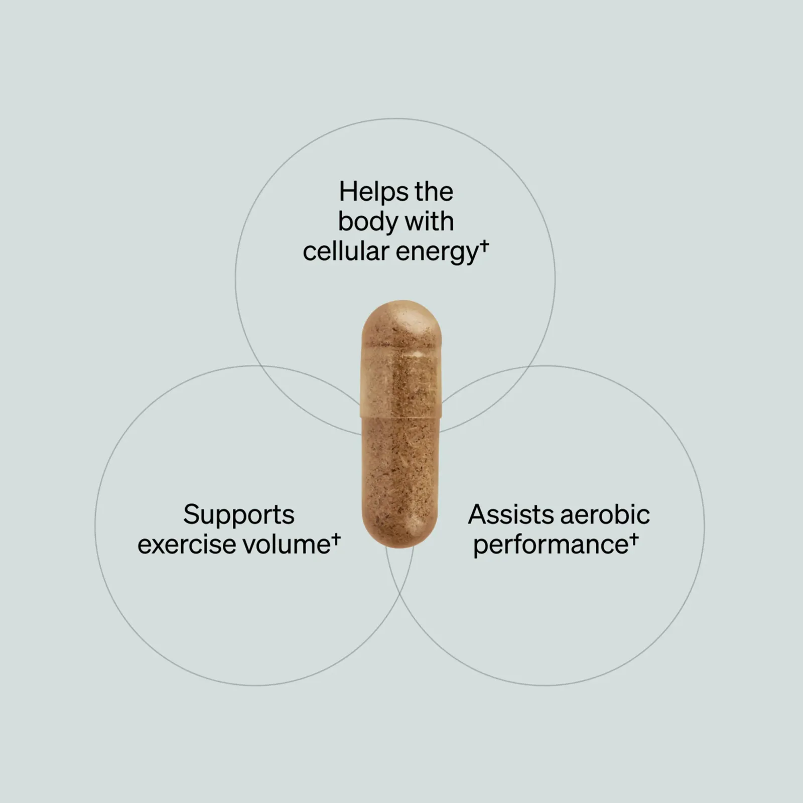 Shroom Tech® SPORT (28 ct)