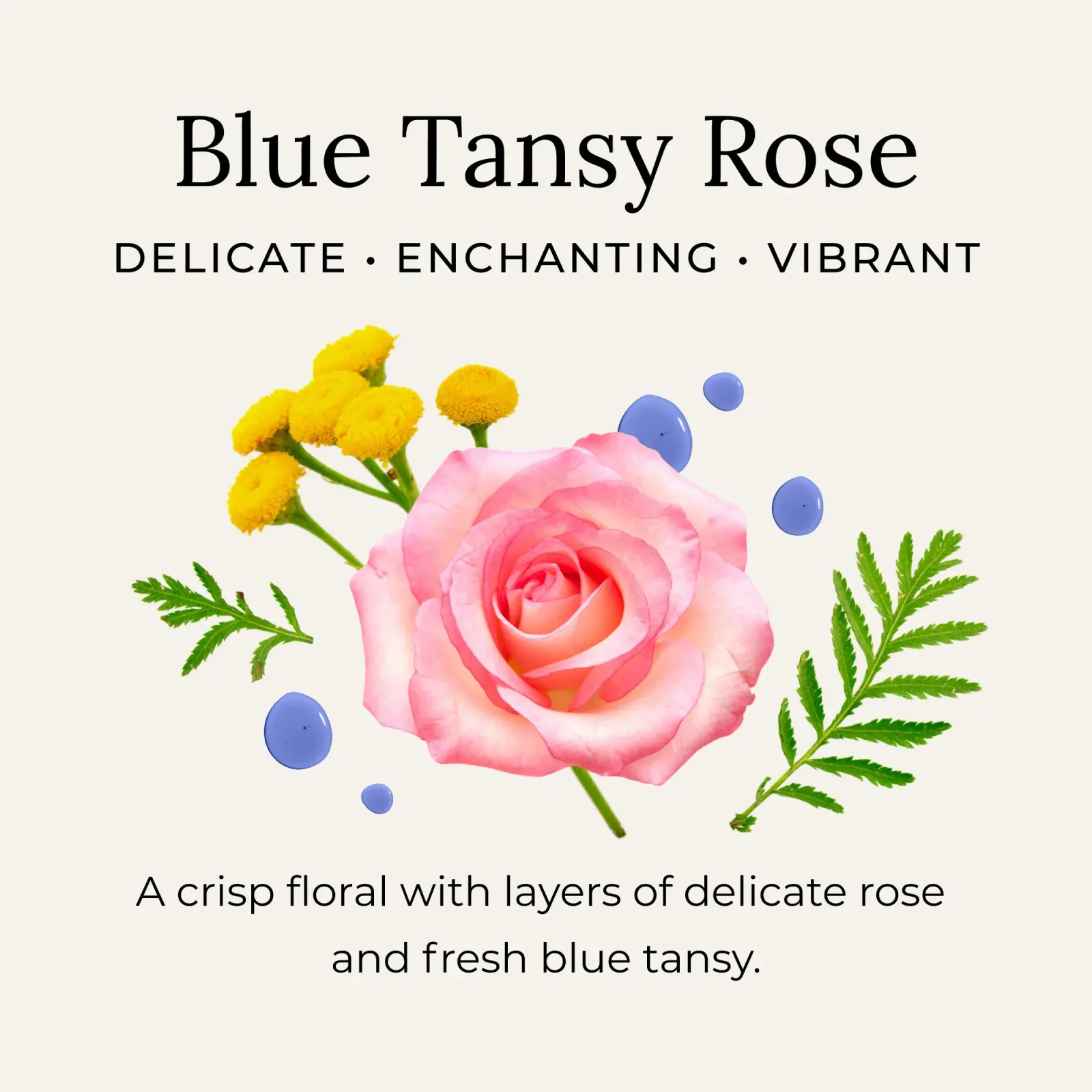 Blue Tansy Rose Body Oil