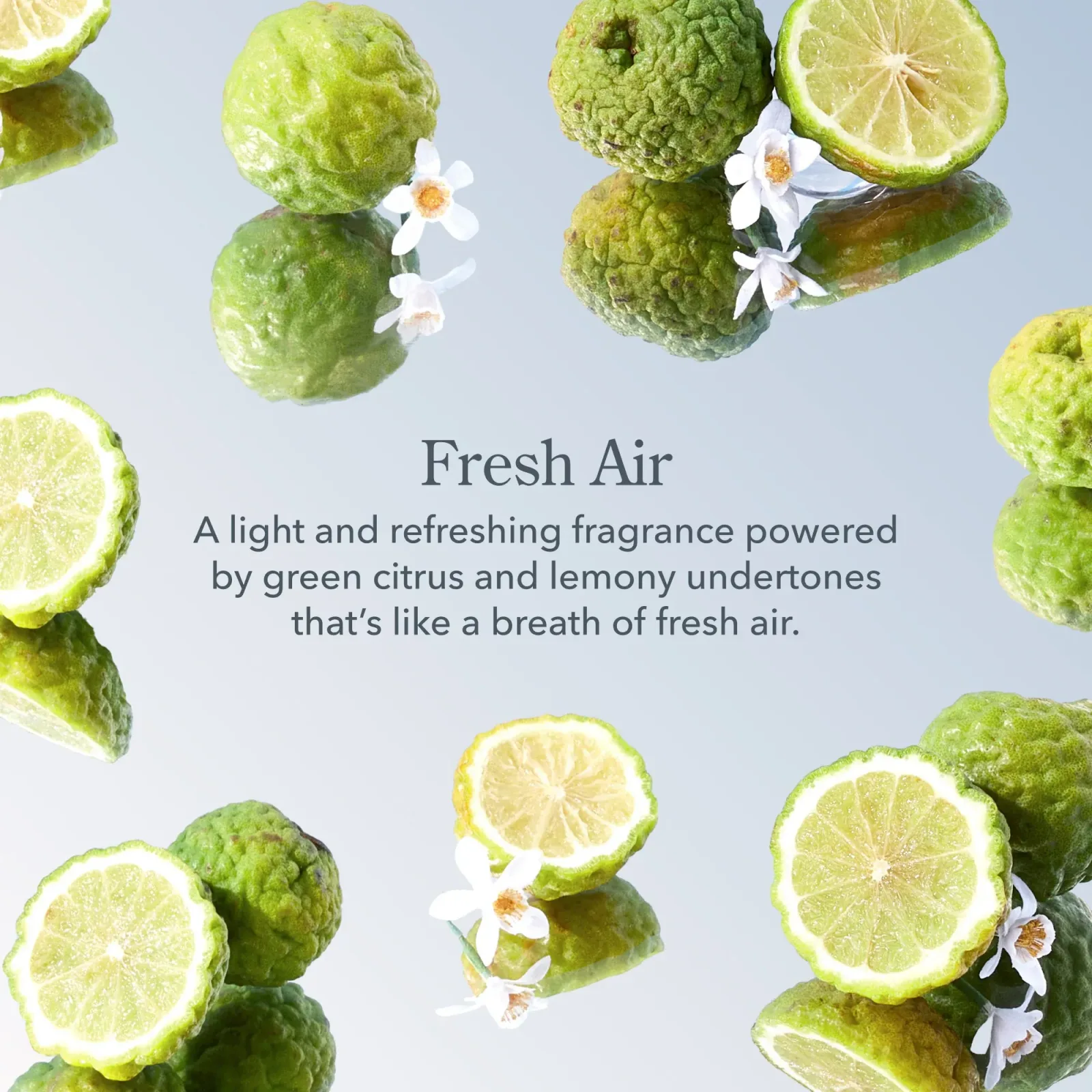 Fresh Air Goat Milk Lotion