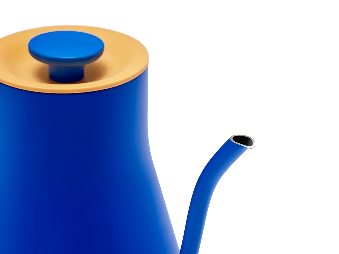 Great Jones x Fellow EKG Pro Kettle