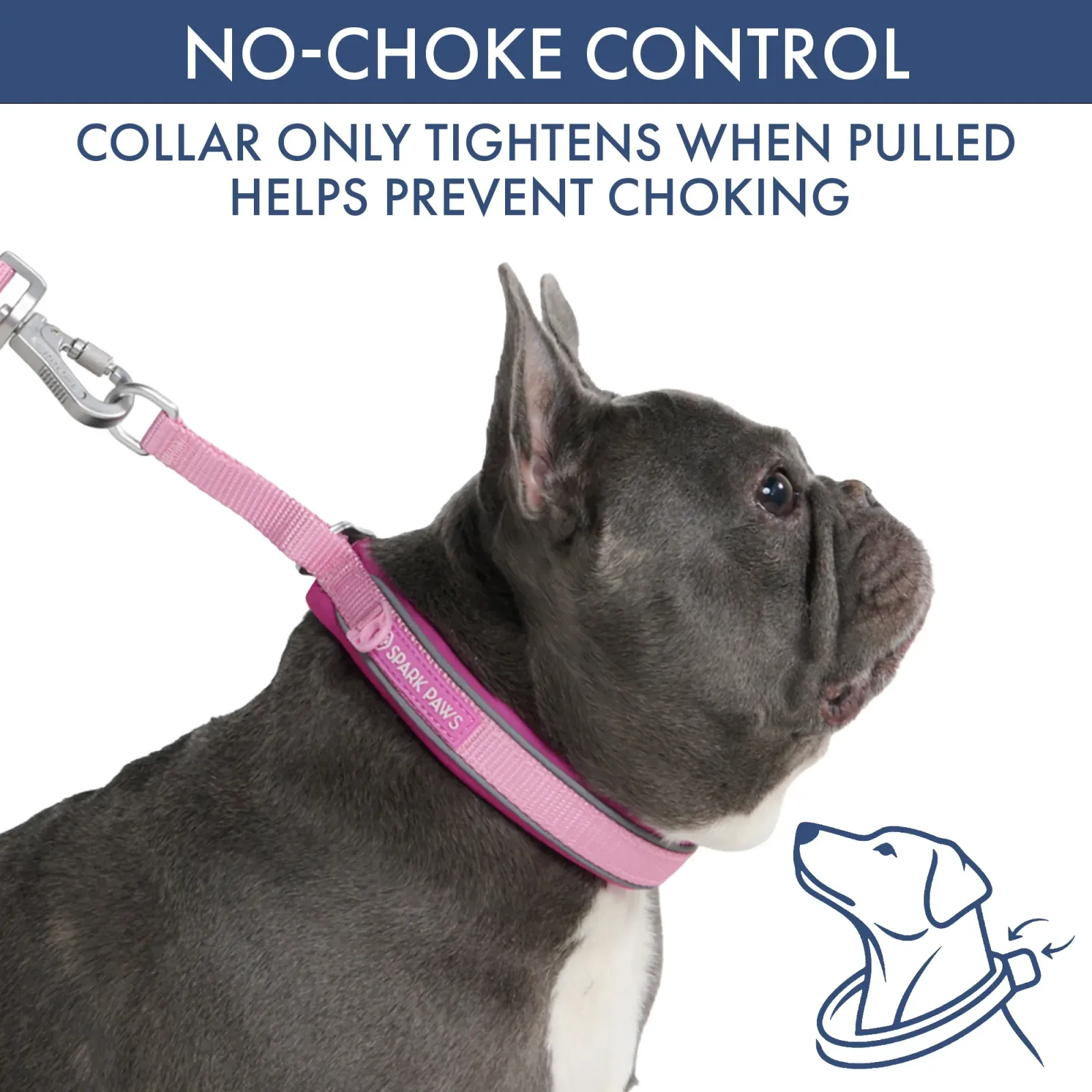 Martingale Collar Set – Pink