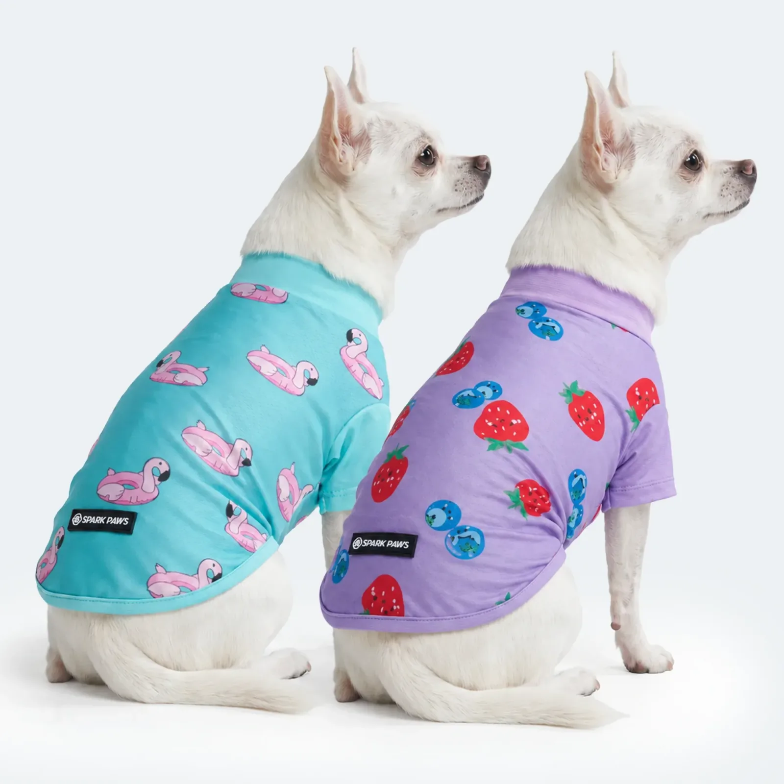 Sunblock Dog T-Shirt (2-pack) – Berries Flamingo