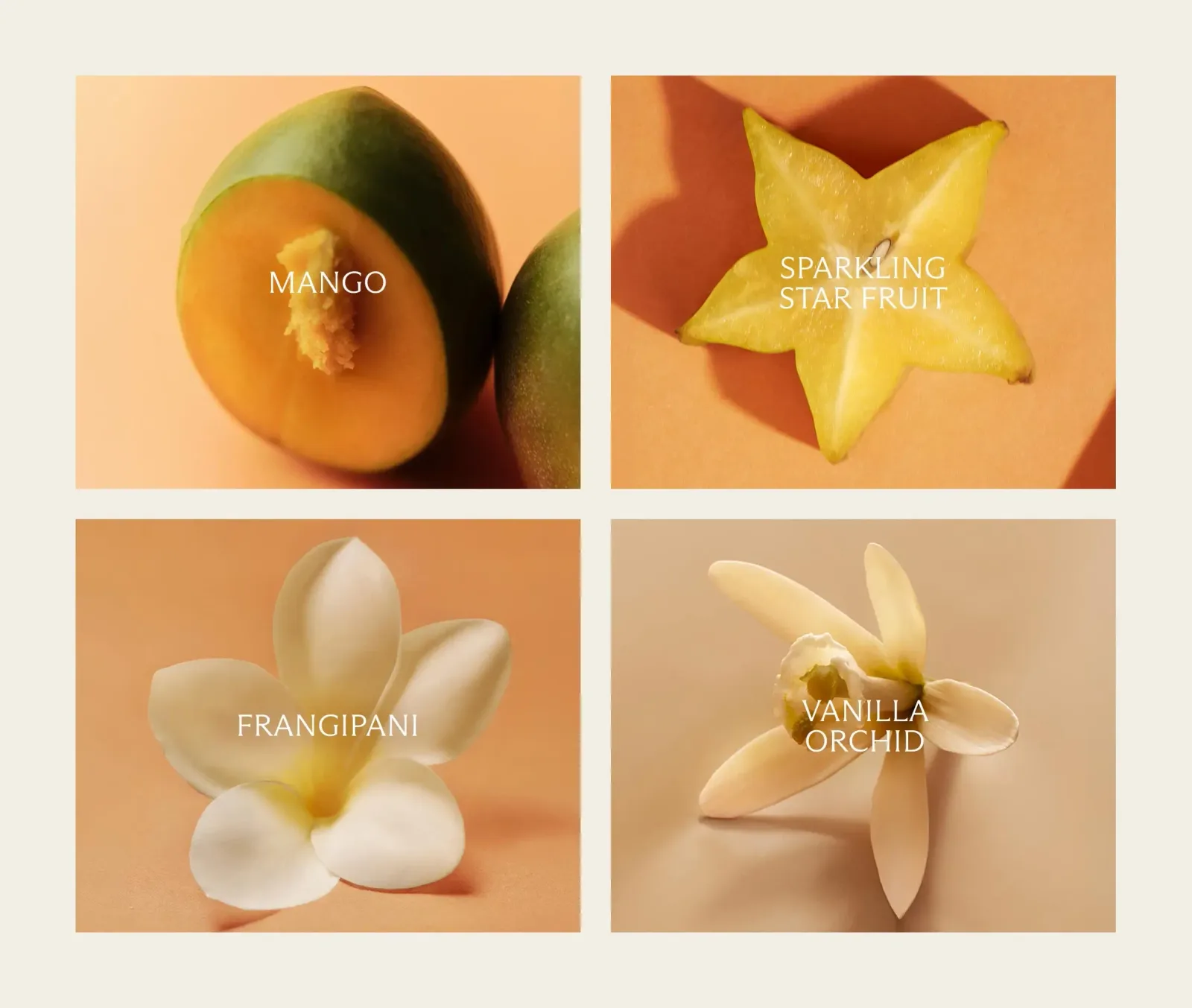 Maui Mango Perfume Oil (30mL)