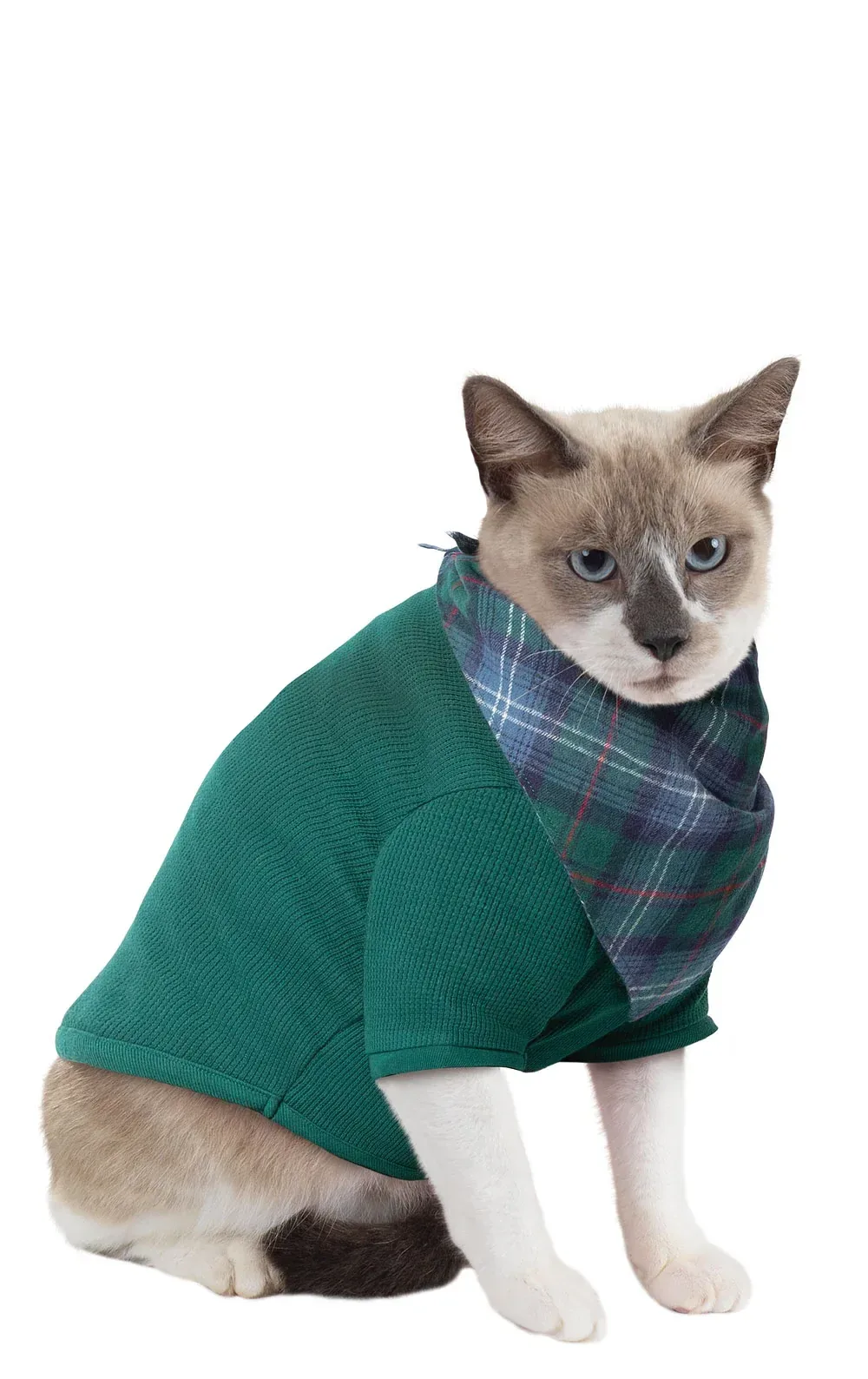 Heritage Plaid Thermal Pet Pajamas – Pet & Owner 2