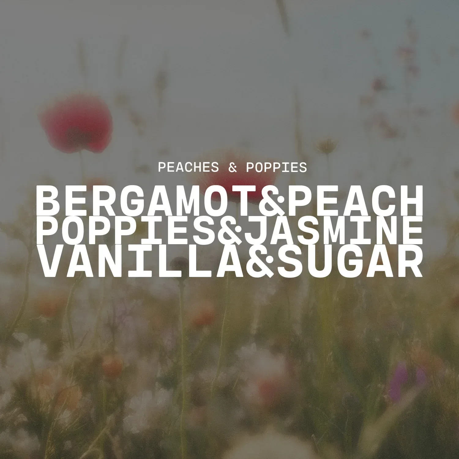 Peaches & Poppies Candle – 9 lb Monster