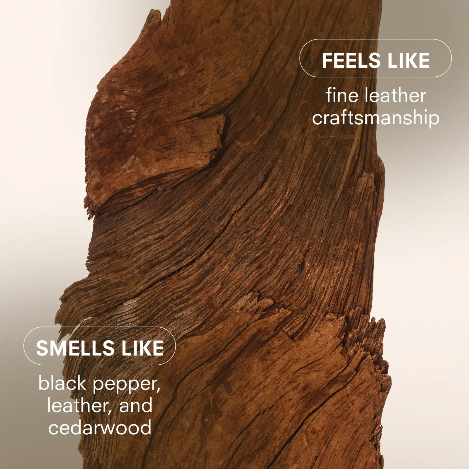 Hard Wood