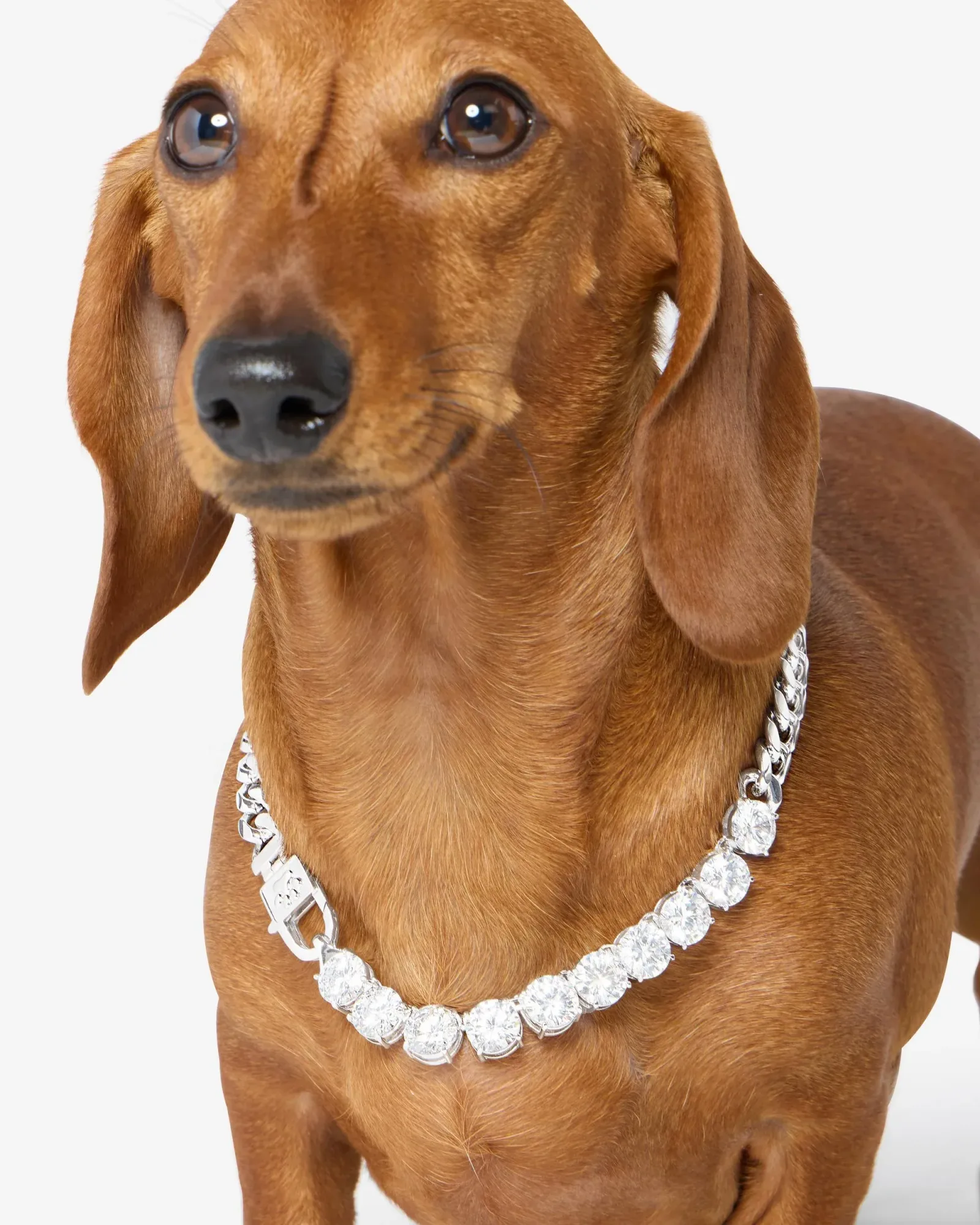 Thor Loves Diamonds Pet Necklace – Silver|White Diamondettes