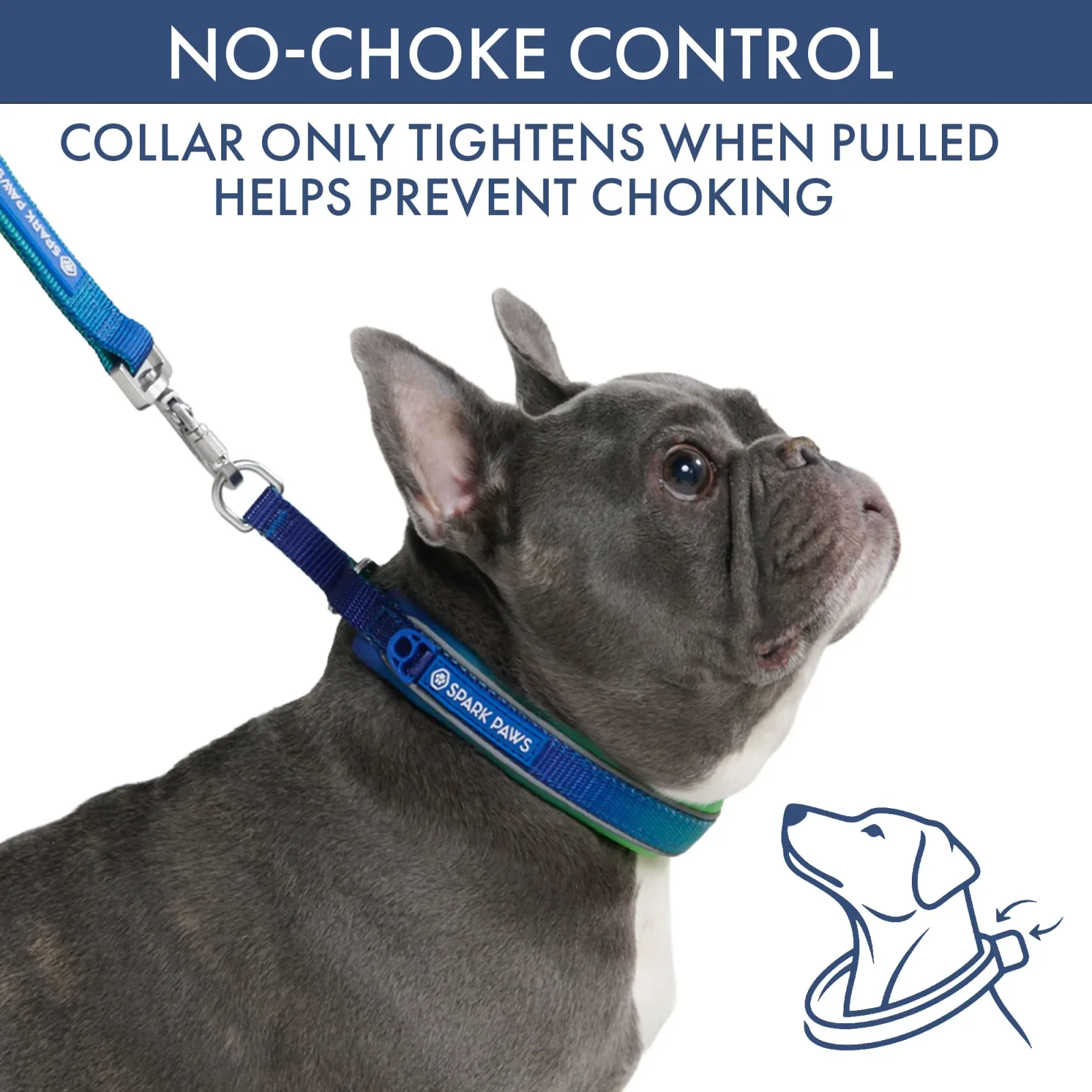 Martingale Collar and Multipurpose Leash Sets