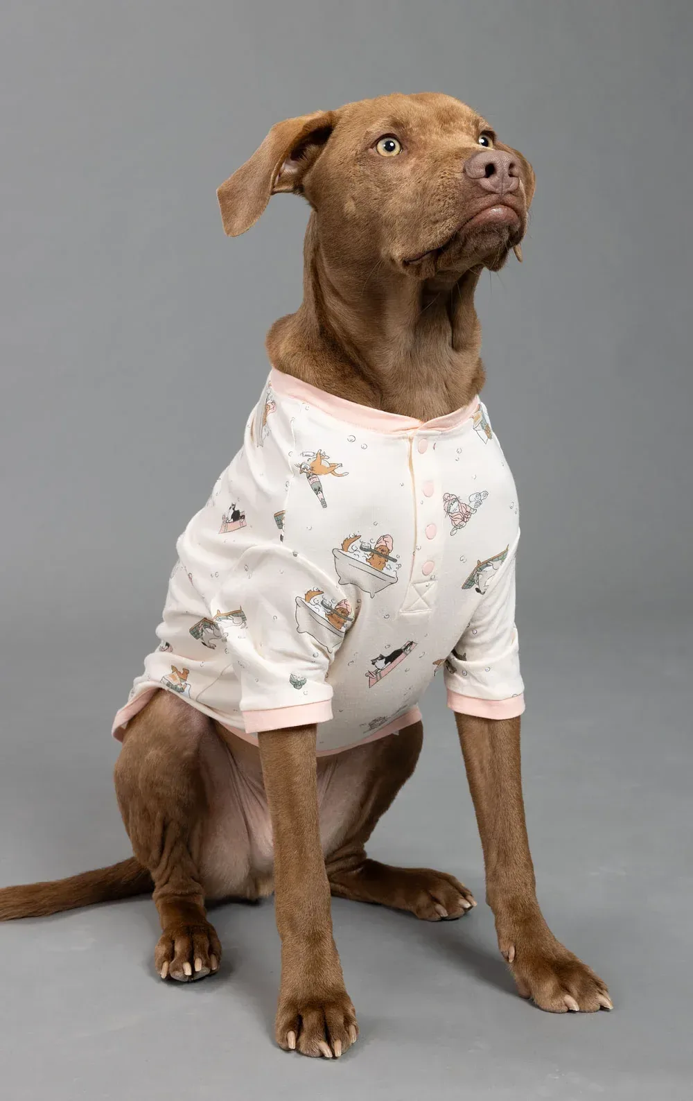 Staycation Pet Pajamas