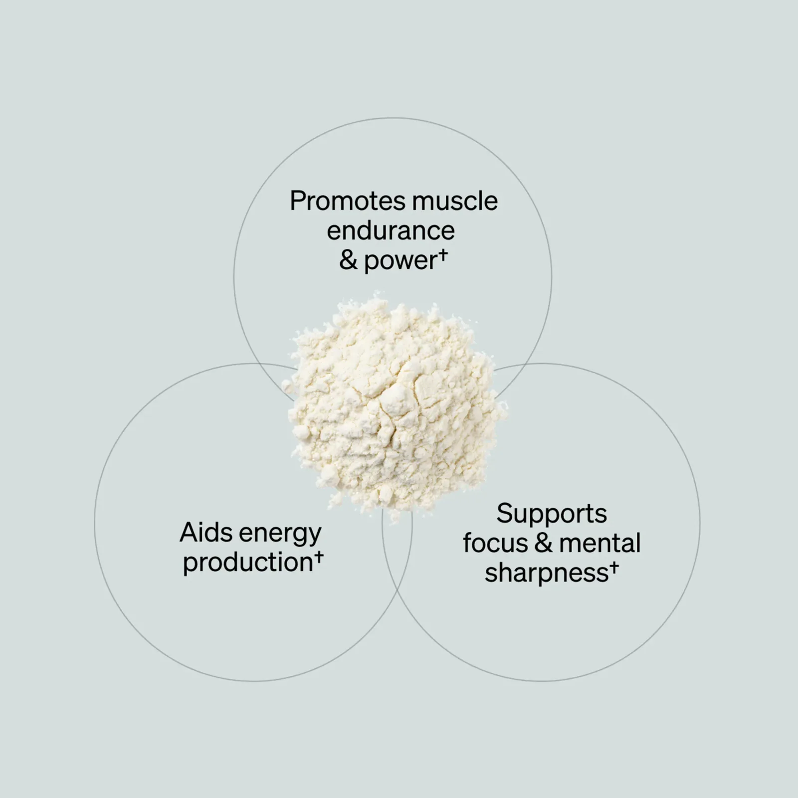 Alpha BRAIN® Pre-Workout – Tiger's Blood (20 Serving Tub)